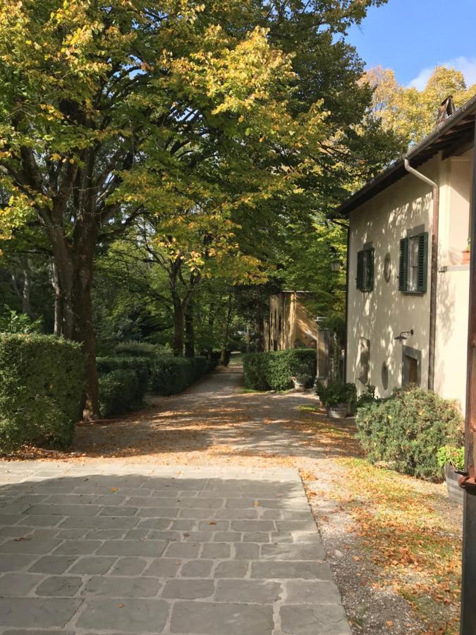 Agriturismo La Fattoria Di Capezzana Carmignano Eksteriør billede