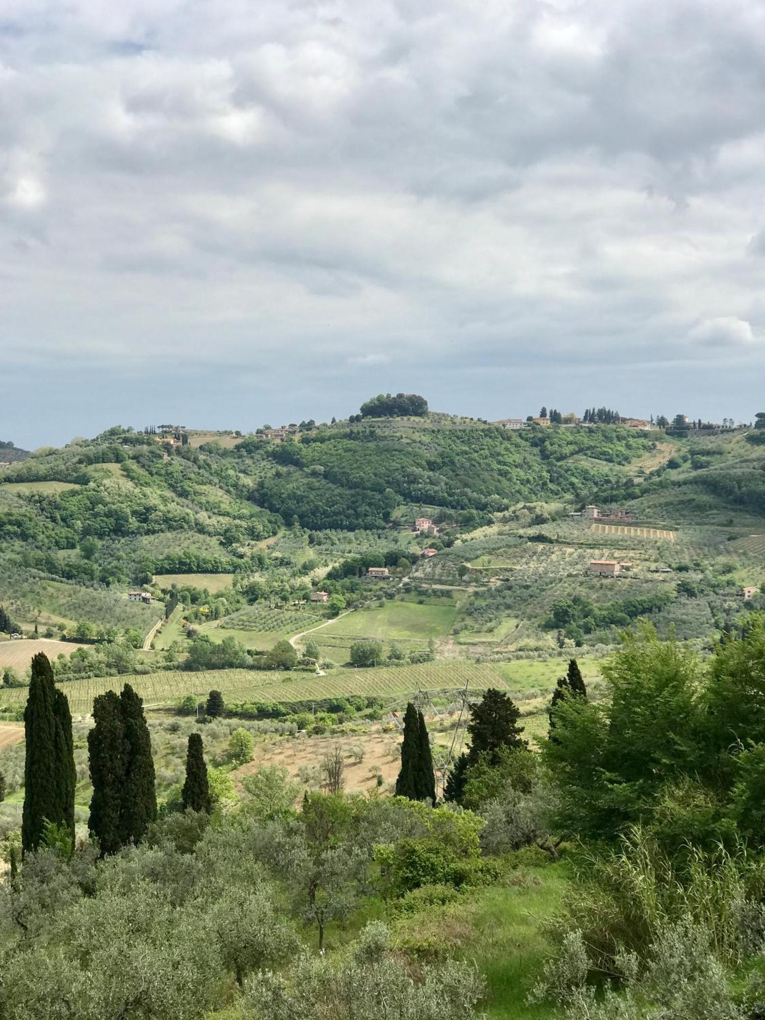Agriturismo La Fattoria Di Capezzana Carmignano Eksteriør billede